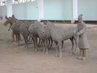 Some of the horses sculpted for the Terracotta Army